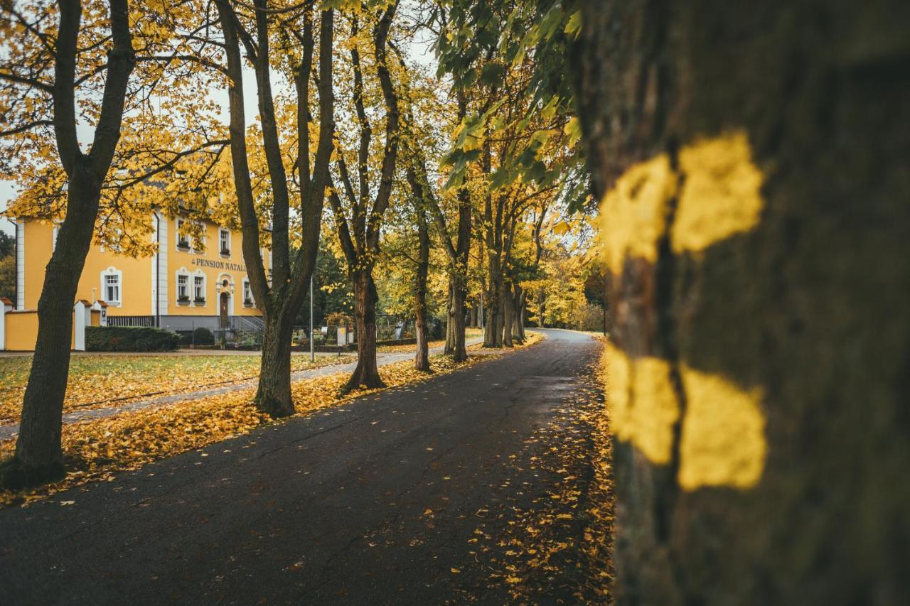 Apartmany Natalie Františkovy Lázně 外观 照片